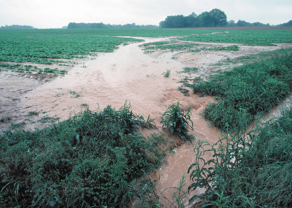 Land management, such as agricultural practices, influence the amount of runoff and phosphorus that reach Lake Champlain. Photo credit - USDA
