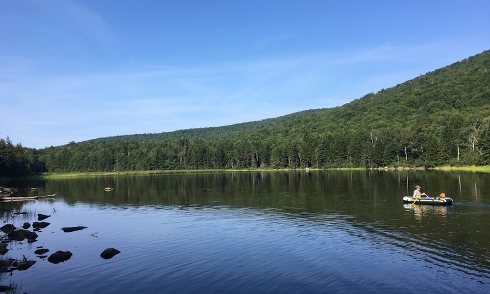 Beaver Pond in the summer