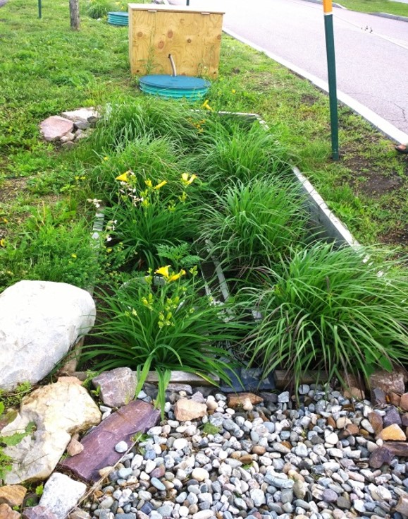 Bioretention Cell in Burlington VT. Photo credit Paliza Shrestha