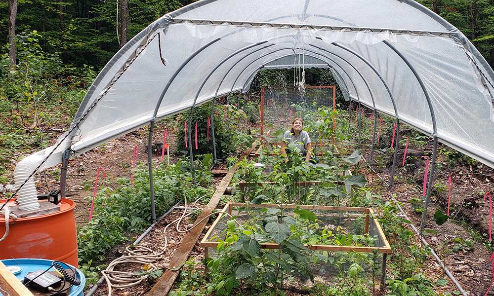 Photo of a researcher in the experimental greenhouse