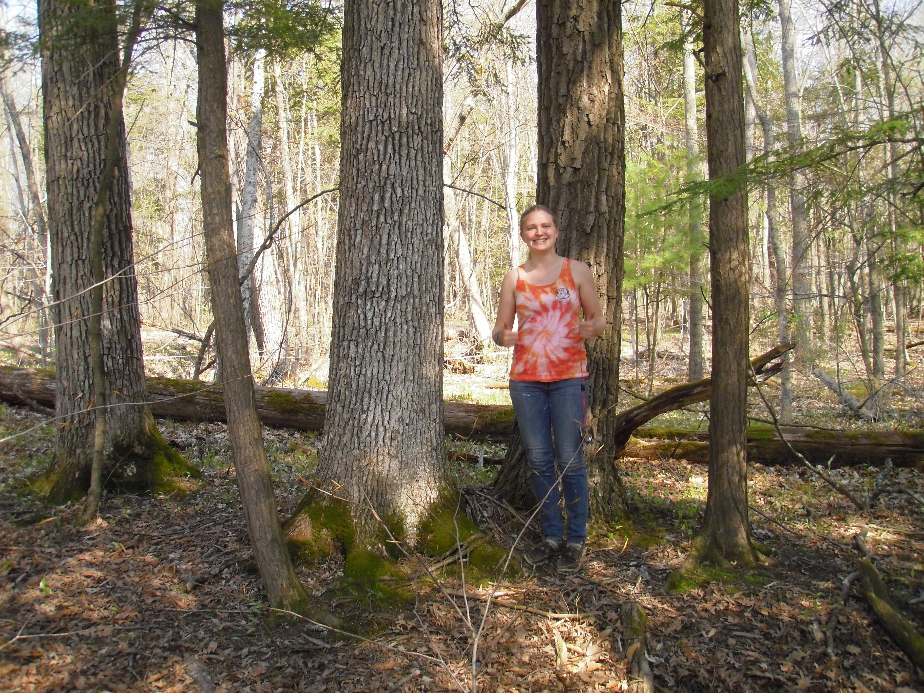 Clayplain Forest