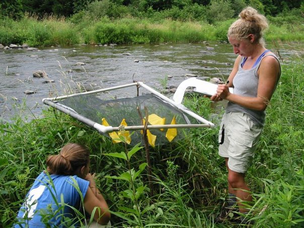 field sampling