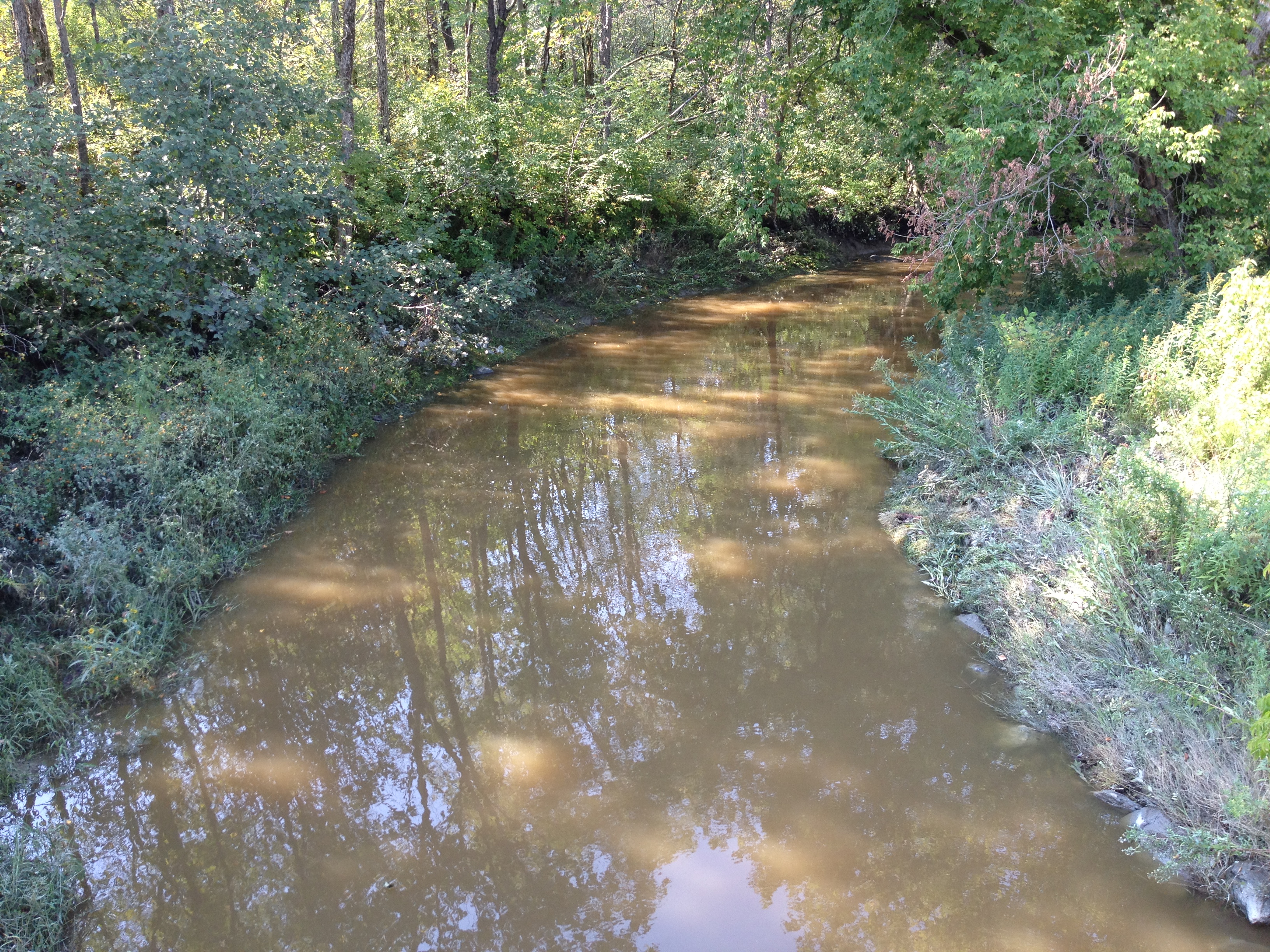 Rock River at gaging station