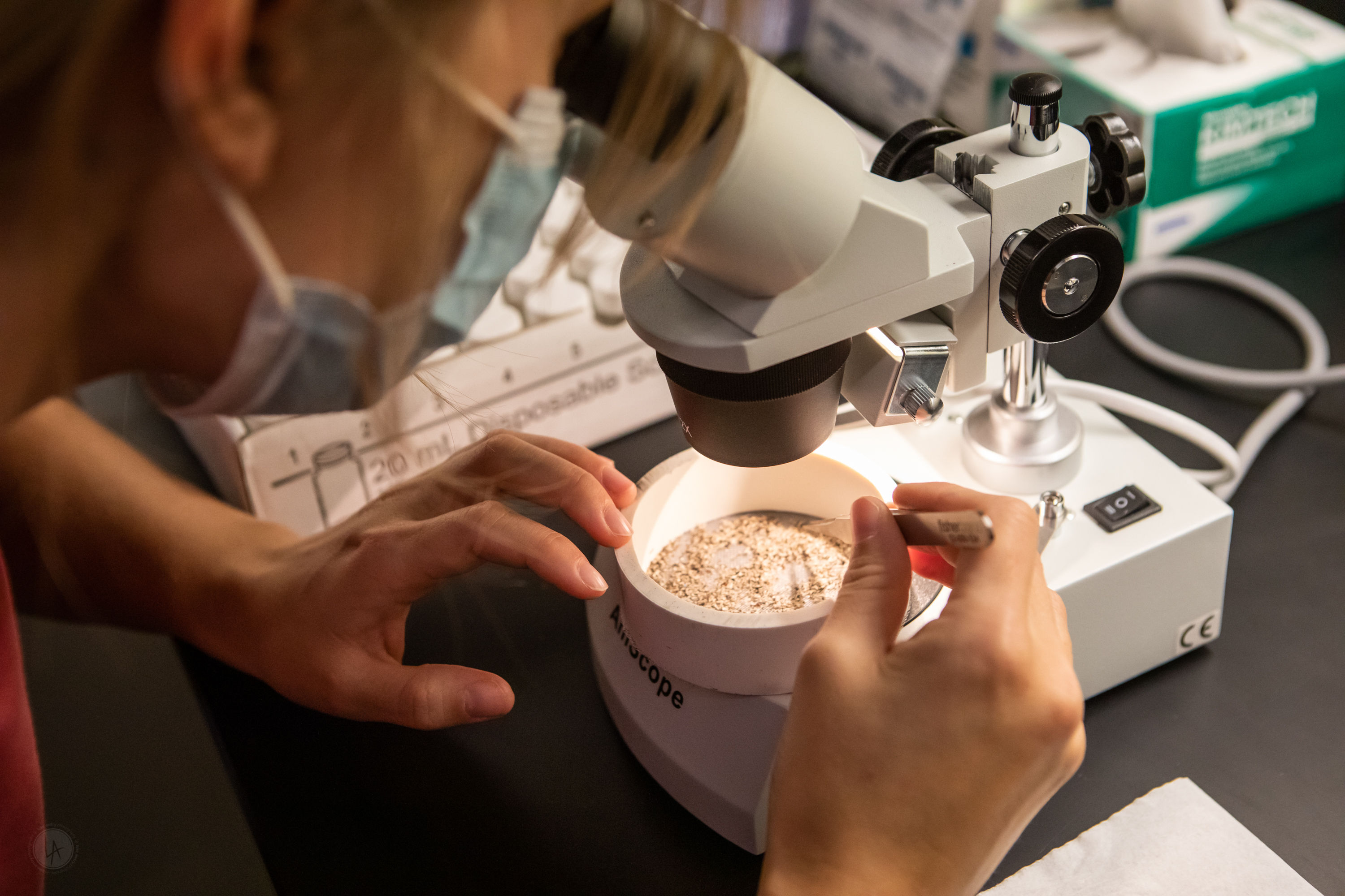 Kate Porterfield inspecting micro plastics under a microscope by Luke Awry