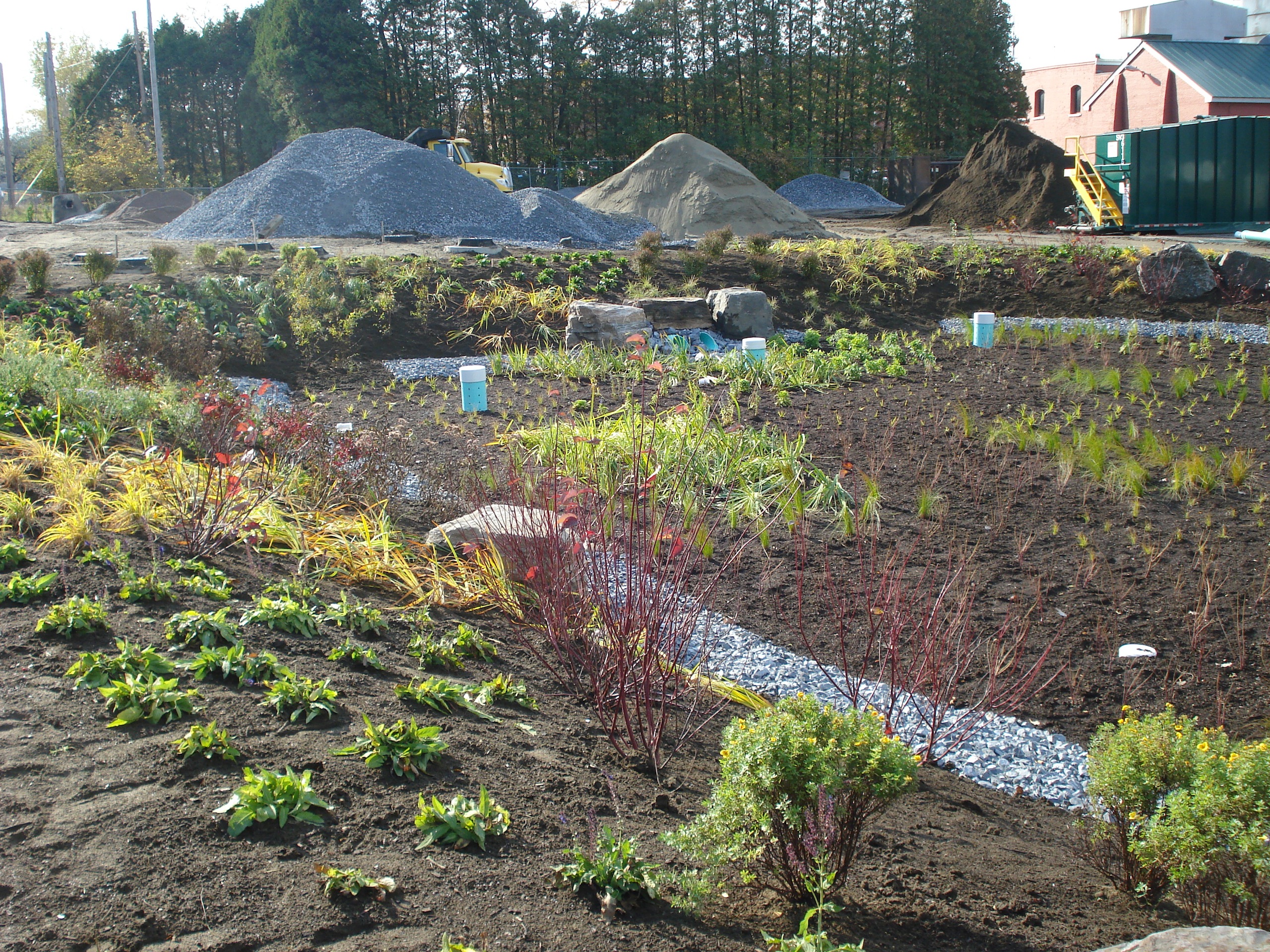 Installed rain garden as part of stormwater management in Burlington, Vermont