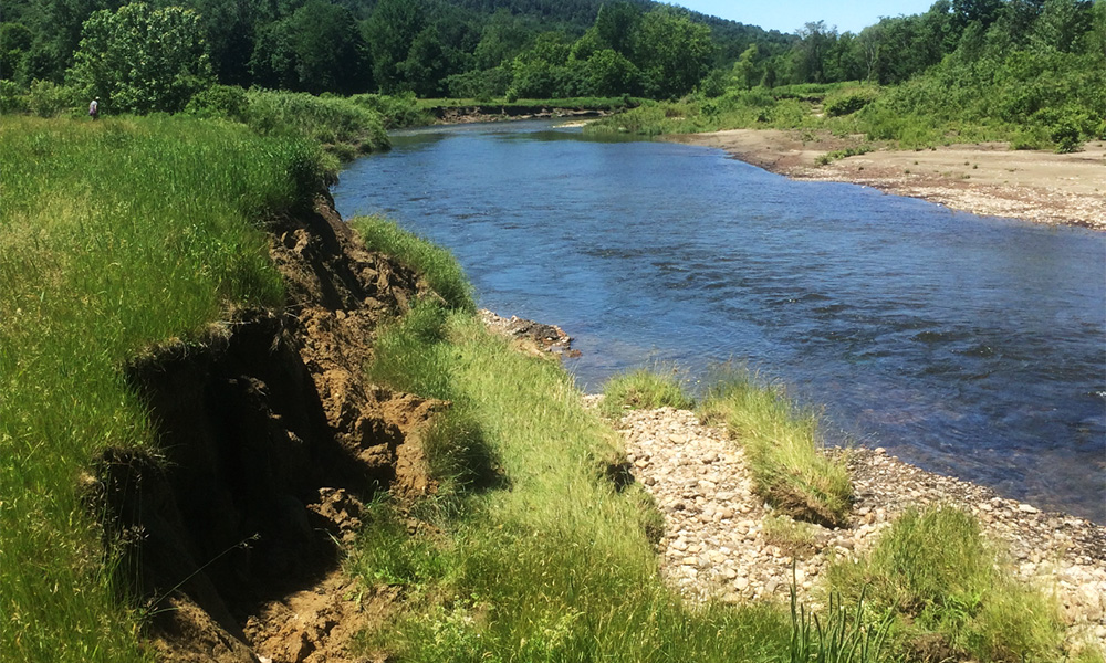 Missisquoi Streambank