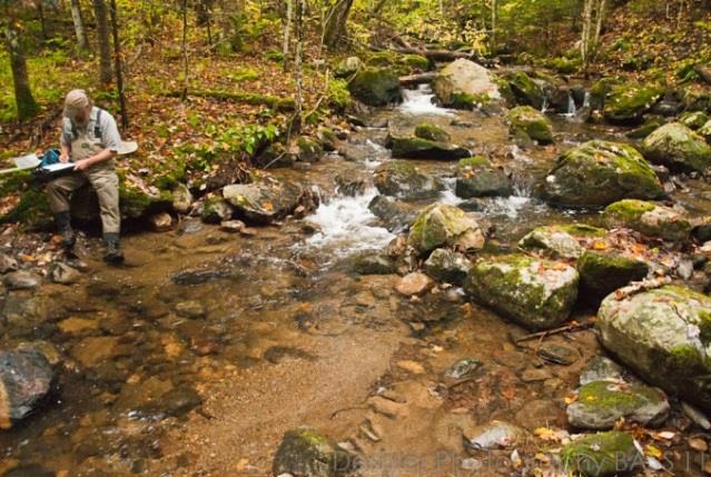 New Haven River Tributary 27, Lincoln, Jim Deshler