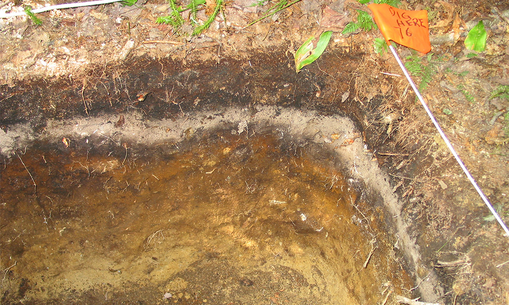 Soil Pit