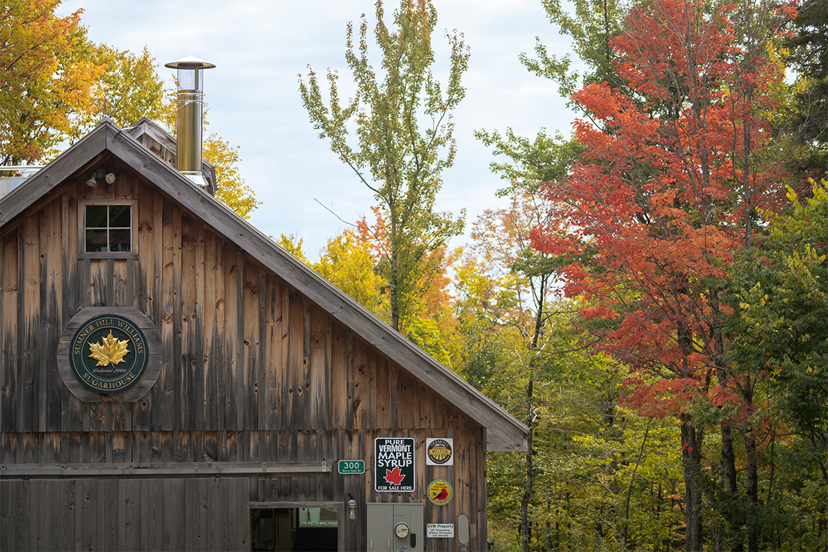 Maple Sugarhouse by Bailey Beltramo / University of Vermont