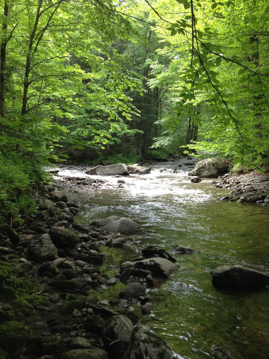 Wade Brook stream sampling site