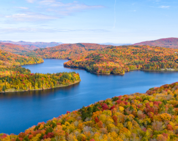 aerial photo of foliage and a creek